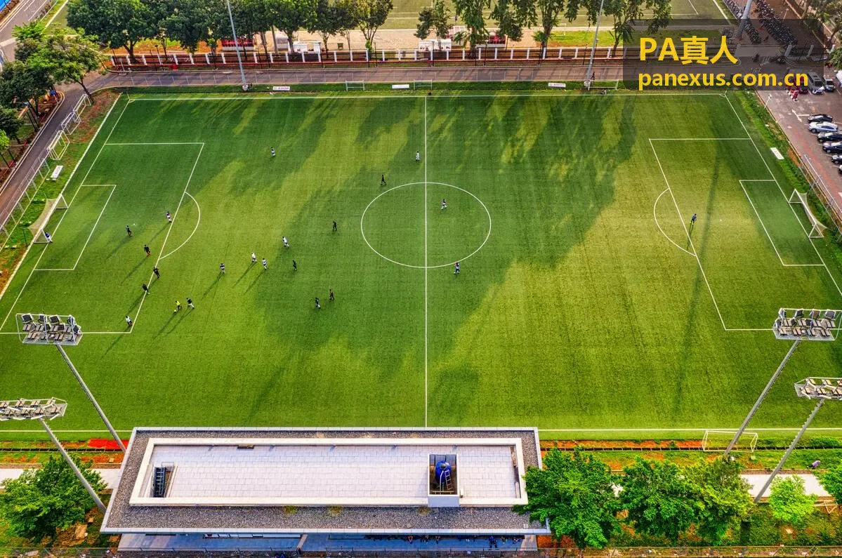 PA真人创作者匹配合作场景